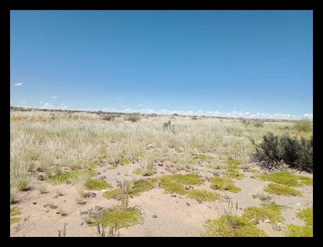 FARM FOR SALE IN KENHARDT